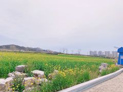 -西海岸生态观光园