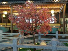 -三凤酒家·百年无锡菜(清扬茂业店)