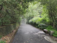 -杭州半山国家森林公园