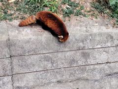 -昆明动物园