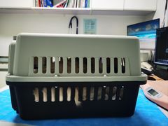 -达爱动物医院·犬猫分区·CT·复杂眼科(远洋山水分院)