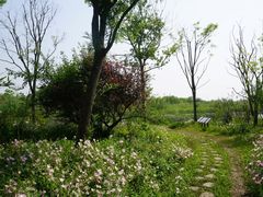 -同里国家湿地公园