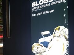 -盛焰铁板烧(王府井店)