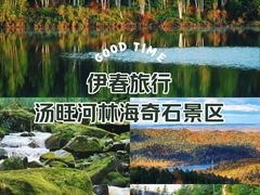-汤旺河林海奇石景区
