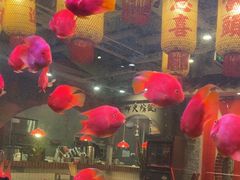 -朱光玉火锅馆(正弘城店)