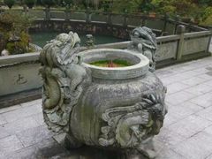 -玉苍山国家森林公园