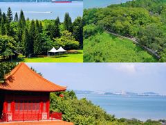 -南沙蒲洲花园