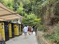 -将军关探险漂流