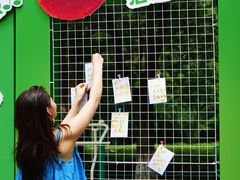 -宝岩生态观光园