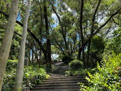 -罗三妹山