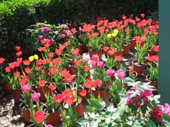 -北京大学肿瘤医院