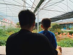 -无锡动物园·太湖欢乐园