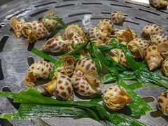小花螺-黄寺蒸汽海鲜(黄寺大街店)