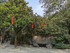 -溪口-滕头旅游景区