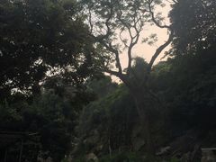 -横琴公社餐厅