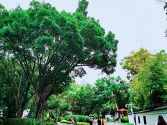 -深圳国际园林花卉博览园