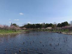 -上海海湾国家森林公园