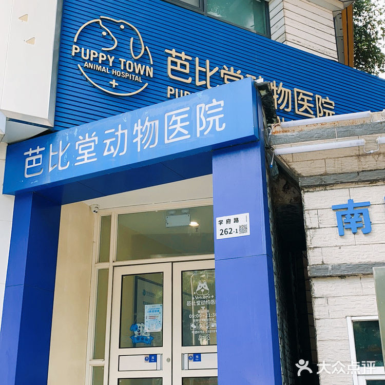 体验|猫咪打疫苗—丢脸丢到姥姥家🐈👵🏻