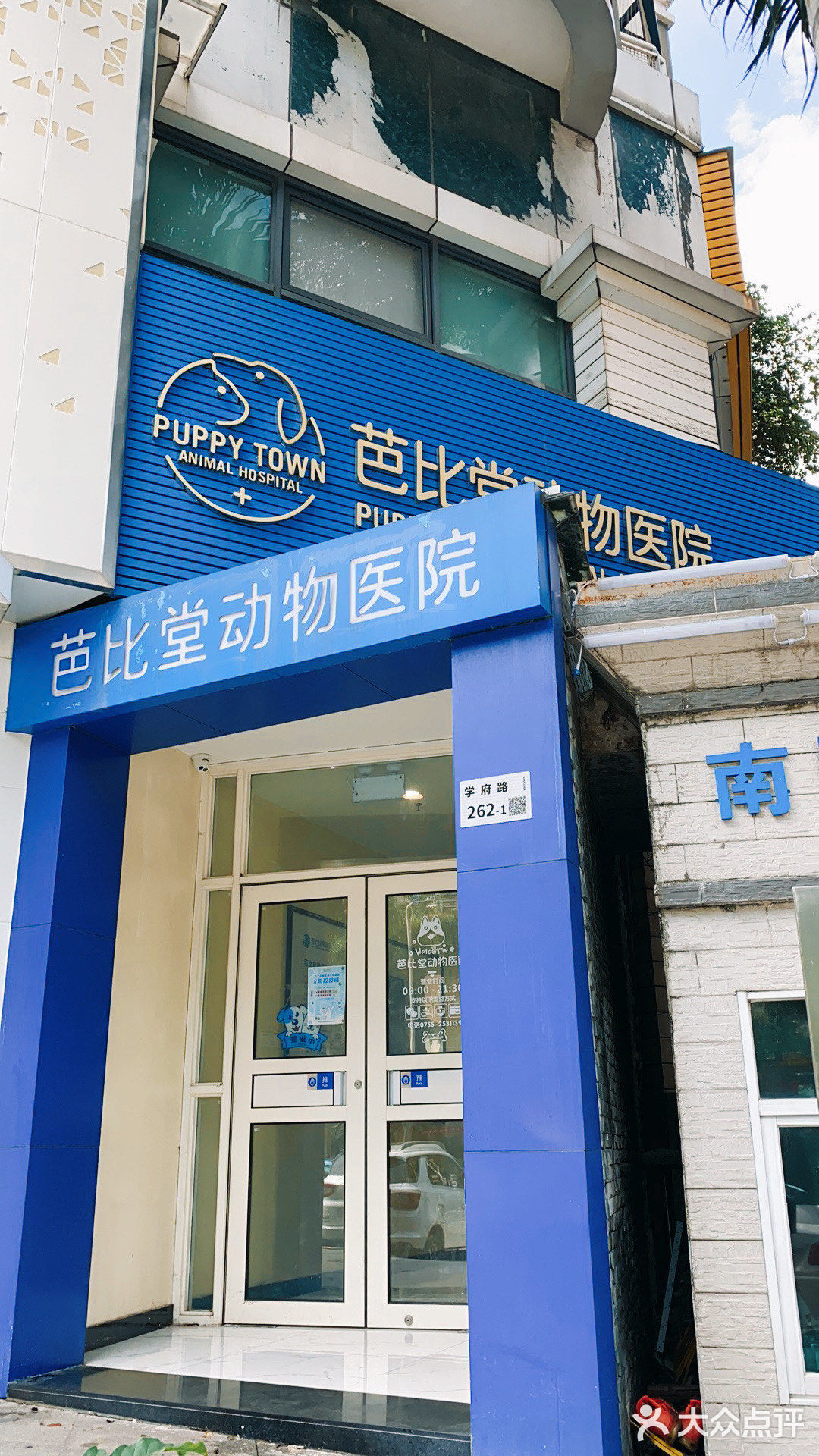 体验|猫咪打疫苗—丢脸丢到姥姥家🐈👵🏻