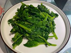 清炒豌豆尖-雲蜀龙阁·金牌水煮鱼(方庄店)