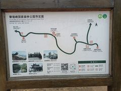 -磬锤峰森林公园