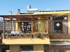 -喵屿·大理花园猫咖