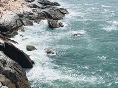 -广东惠东海龟国家级自然保护区