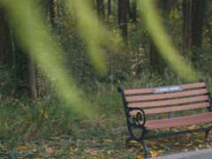 -昆山城市生态森林公园