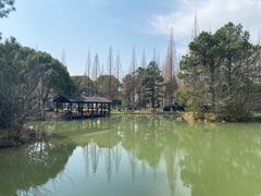 -宝岩生态观光园