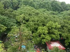 -赭山公园