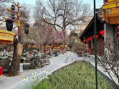 -白家大院·王府宫廷菜(苏州街店)