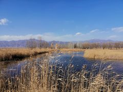 -野鸭湖国家湿地公园