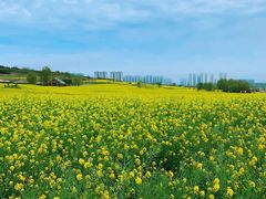 -西海岸生态观光园