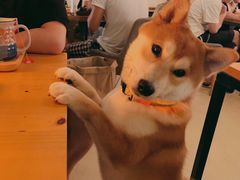-餐酒吧Com-ing Bar(上海路店)