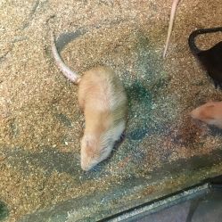 -酷嗒动物文化乐园(cutezoo西溪乐天城店)