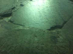 -白鹤梁水下博物馆