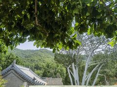 -潭柘寺景区