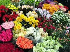 -双季花艺园艺市场(浦东店)