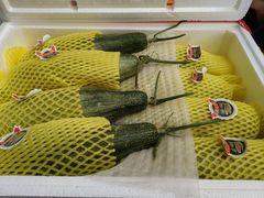 -西郊国际农产品交易中心