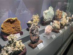 -湖南省地质博物馆