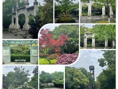 -杭州半山国家森林公园