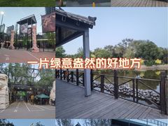 -鲤鱼山公园