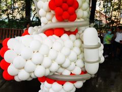 -郑州方特梦幻王国