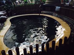 -顺景温泉