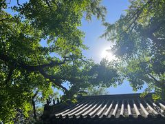 -浮来山风景区