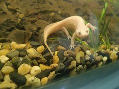 -上海大自然野生昆虫馆(东方明珠·爬宠昆虫探索中心)