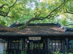 -上海醉白池公园