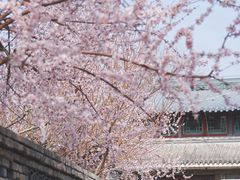 -三里河公园