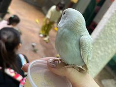 -正佳雨林生态植物园