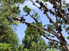 -福建鲤鱼洲酒店